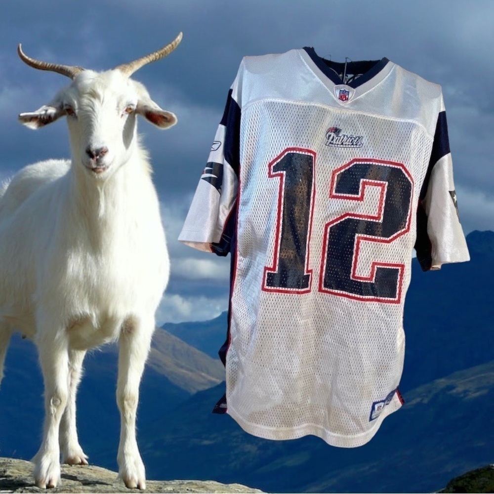 Reebok NFL Players Inc. Equipment on Field Tom Brady Patriots #12 Jersey XL